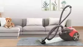 Cleaning tasks feel easier when you have a compact vacuum cleaner that fits well into your home and daily routine. The best vacuum cleaner today does not