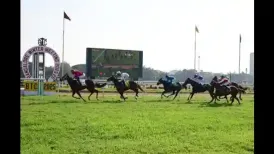 The state government is preparing to introduce a bill that would permit licensed online betting on horse-racing events. The legislation