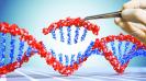 Biotechnology, when I was a student in the early 1970s, was test tubes, pipettes, culture plates and microscopes. Today, however, biotechnology is no longer