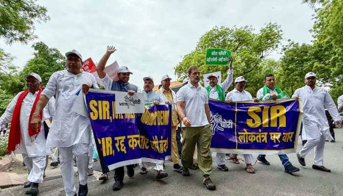 BJP leader CR Kesavan on Sunday slammed Congress leader Rahul Gandhi's 'Voter Adhikaar Yatra' in Bihar, terming it a 