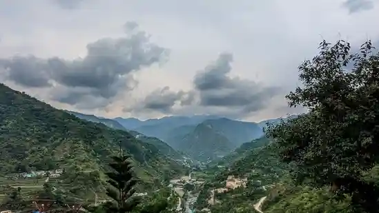 A manager claimed that his company's flexible WFH policy was being exploited by an employee who went for a staycation in Dehradun in the middle of a critical