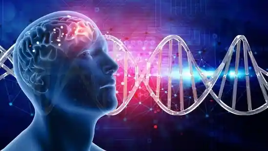 Brain and heart often lock horns in daily life; figuratively, logic and emotion are always at odds. But in reality, your brain and heart are often in agreement with one another. These vital organs influence each other's functions in more ways than you can think. HT Lifestyle reached out to a cardiologist and a neurologist to understand how these two vital organs work together in tandem.Brain and heart often lock horns in daily life; figuratively, logic and emotion are always at odds. But in reality, your brain and heart are often in agreement with one another. These vital organs influence each other's functions in more ways than you can think. HT Lifestyle reached out to a cardiologist and a neurologist to understand how these two vital organs work together in tandem.ALSO READ: <strong>Cardiologist warns of this heart issue in Gen Z, an early sign of heart attack, other premature cardiovascular diseases</strong>While the cardiologist called the relationship between the heart and brain ‘an inseparable pair,' the neurologist agreed that these organs indeed have a complex bidirectional dynamic.