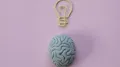 The brain is the body’s master control centre, orchestrating every thought, emotion, and action. It processes sensory input, stores memories