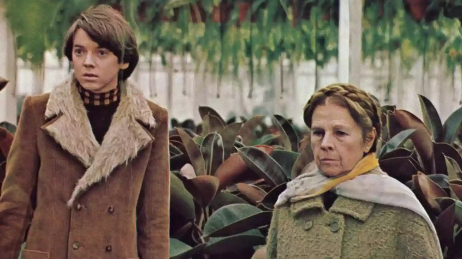 Bud Cort, star of cult classic Harold and Maude, dies aged 77