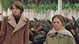 US actor Bud Cort, best known for his role in the 1971 cult classic Harold and Maude, has died aged 77. Writer and producer Dorian Hannaway, a close friend