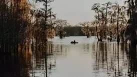 Social media rumors about a serial killer being on the loose in Austin, Texas, have reignited conversations around the ‘Lady Bird Lake killer'