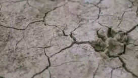 Earthquakes have continued to rock California for days at a stretch, with several tremors felt across Bay Area, San Ramon, Hayward