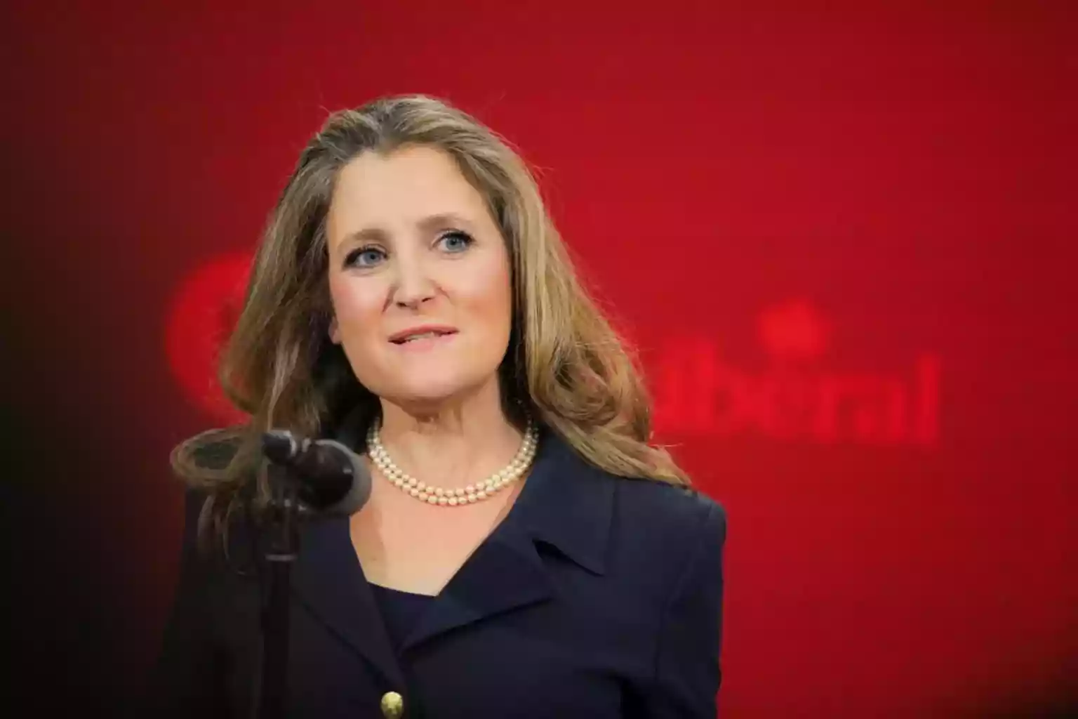 Canada's Chrystia Freeland to quit as MP and become adviser to Zelensky