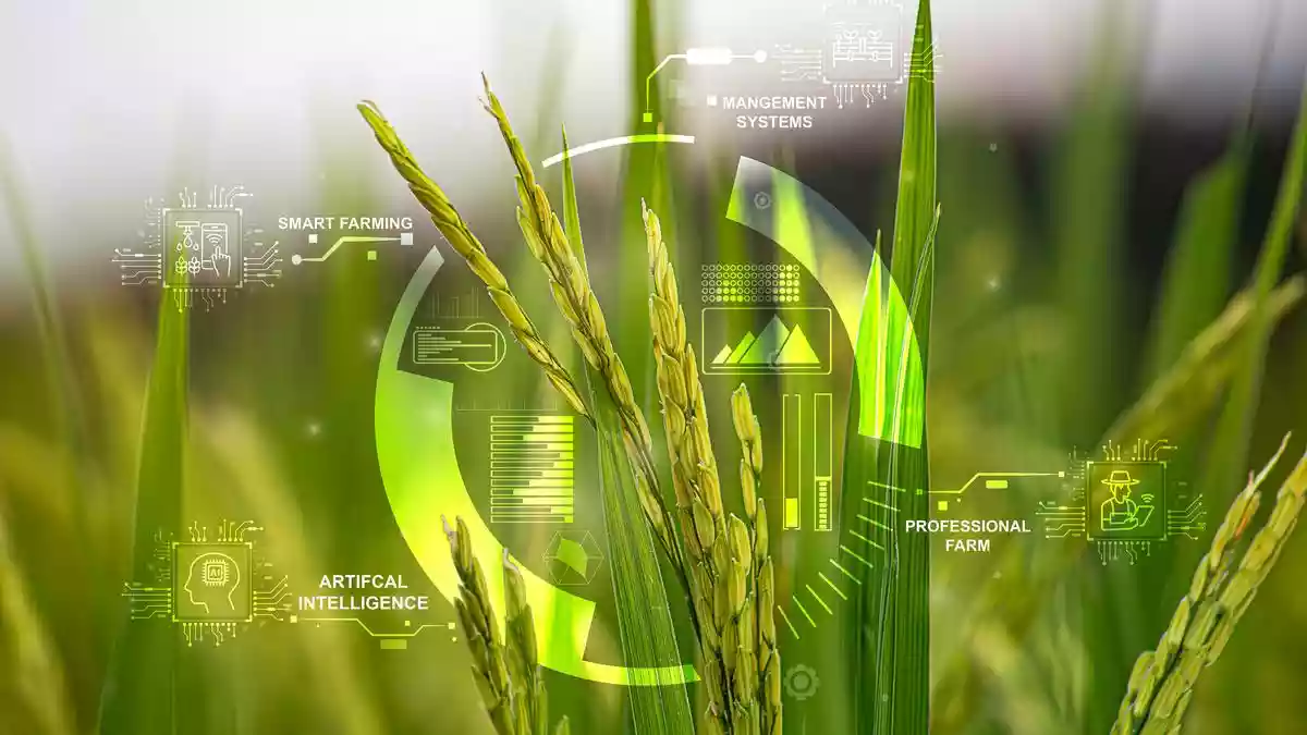 Agriculture continues to be a significant sector of the Indian economy. While it may not be the most obvious career choice for students