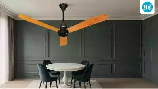 Ceiling fans at lowest prices
