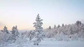 A sharp drop in temperatures is expected across parts of Central Florida as a strong cold front moves through the region, bringing some of the chilliest air