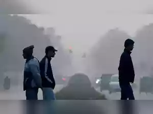 The National Green Tribunal has asked the Commission for Air Quality Management (CAQM) and others to respond to allegations of ongoing construction by a