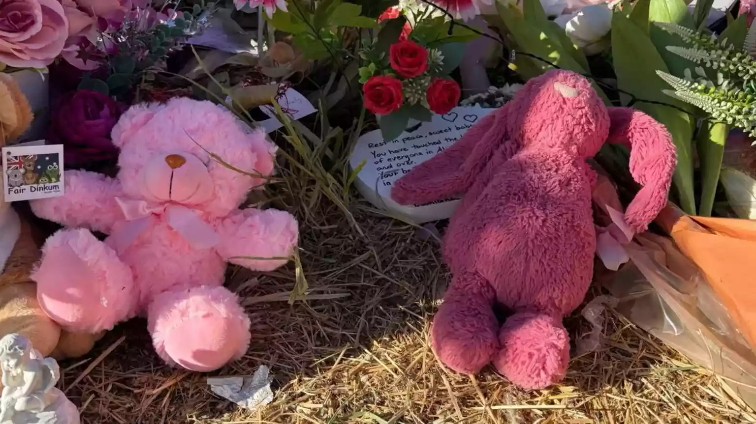 Warning for Aboriginal and Torres Strait Islander readers: this article contains references to someone who has died.</b> Three child protection workers