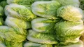 Authorities in China have launched an investigation into reports of formaldehyde being used to preserve the freshness of cabbages for human consumption