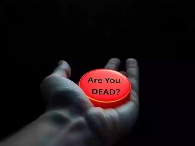 Chinese app for solo dwellers goes viral