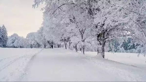 Christmas weather forecast