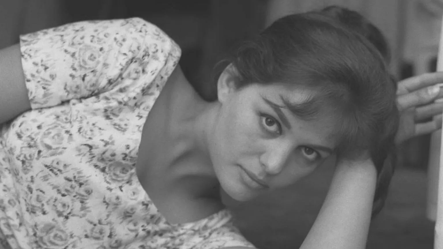 Claudia Cardinale, the Tunisian-born Italian star of The Leopard, 8 1/2 and Pink Panther, has died at the age of 87. She had a six-decade long career, rising to fame during the golden age of Italian cinema, and was directed by greats such as Federico Fellini and Luchino Visconti.