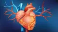 The human heart beats more than 1 lakh times a day, pushing blood through the body under constant physical strain. Every second, it encounters circulating