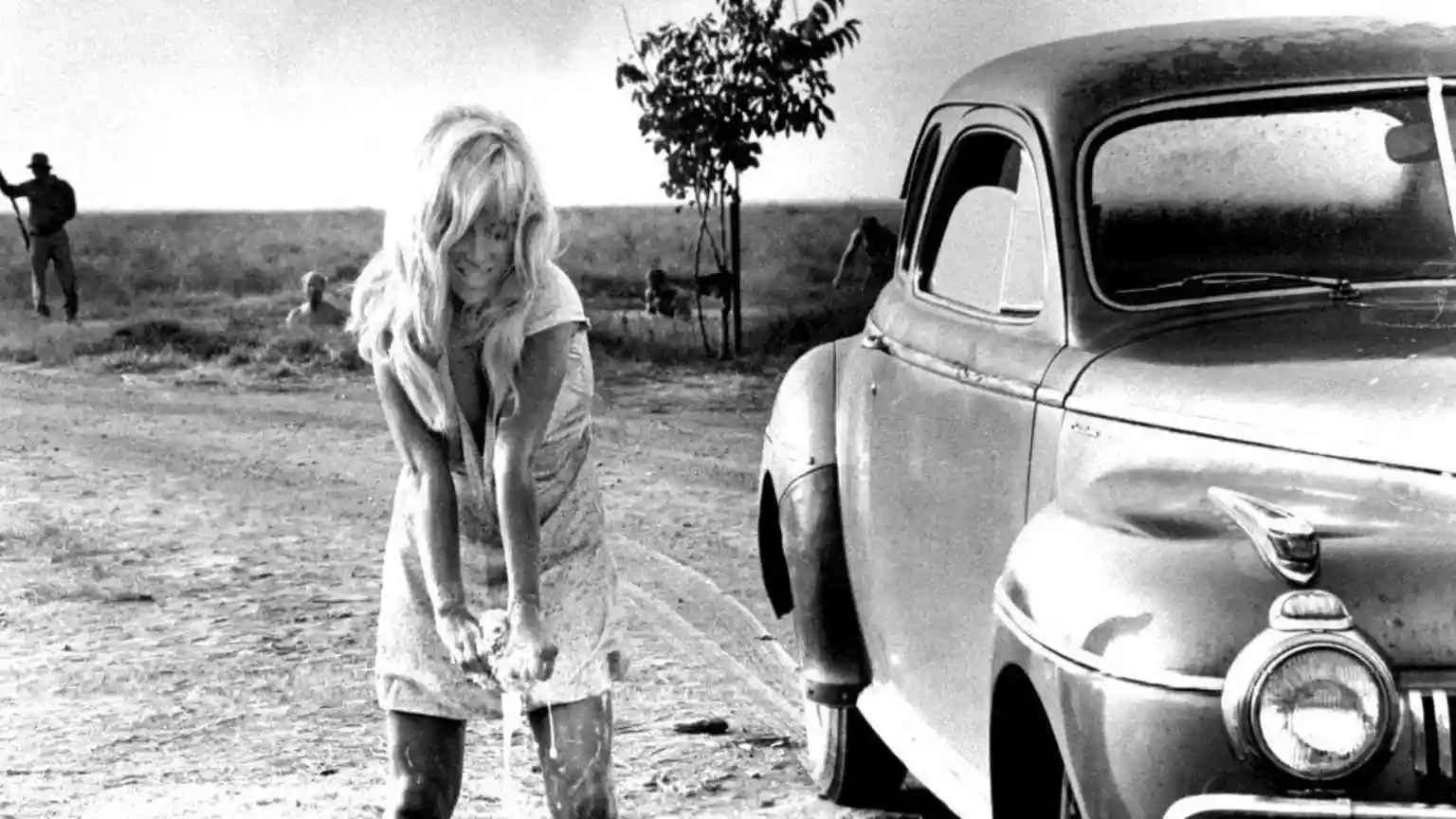 Cool Hand Luke actress Joy Harmon dies aged 87