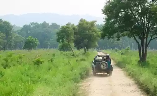 An eagerly anticipated wildlife safari at Jim Corbett National Park turned shocking for a tourist due to a guard who allegedly offered tobacco to the