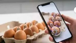 In a viral moment, a customer used Gemini Nano to crack 20 eggs in a tray and later secured an Instamart refund, sparking widespread amusement online