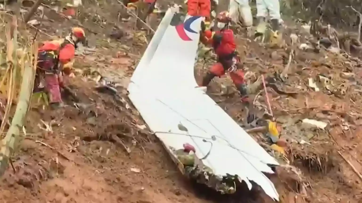 A Boeing 737 plane that plummeted into a Chinese hillside in 2022, killing all 132 people on board, had its fuel supply cut mid-flight