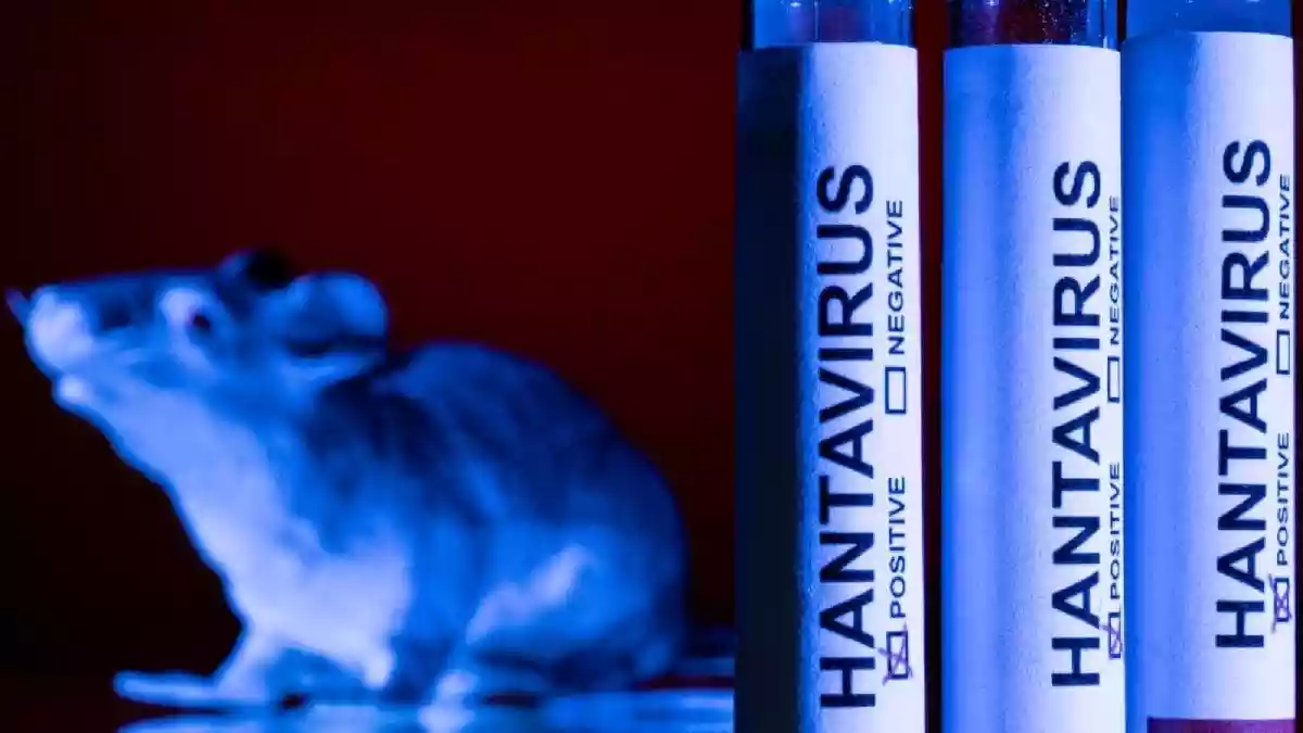 A deadly hantavirus outbreak linked to the cruise ship MV Hondius has spread across multiple countries, leaving at least three people dead and several others