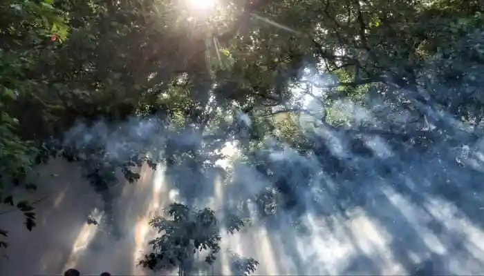 Delhi Air Quality Edges Close To 