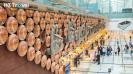 <h4>Delhi Airport T1, T2, T3 transfer guide: How to get between terminals simplified</h4> Published on: Sep 25, 2026, 11:00:44 IST By Neha