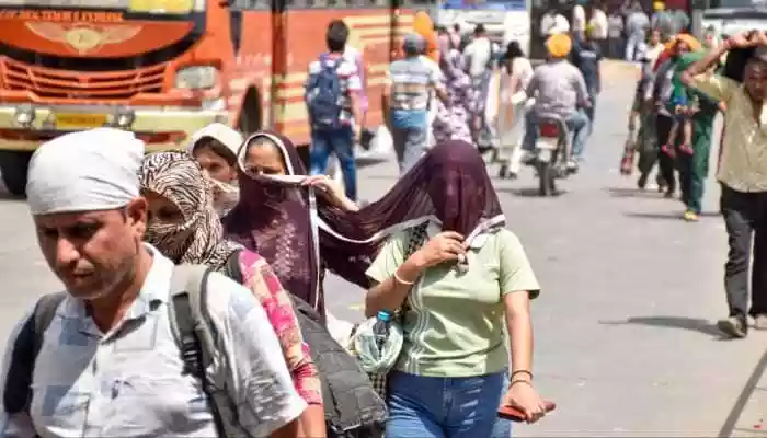 Delhi, Punjab, and Haryana sizzle as temperatures hit record highs