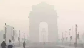 Delhi mandated 50% work-from-home for all offices as air quality hits 'Severe+'. Environment Minister Manjinder Singh Sirsa warns of fines up to Rs 5 lakh