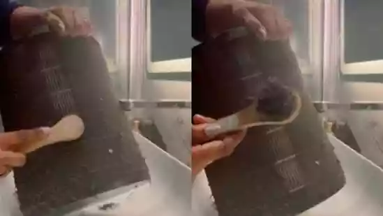 A Delhi woman has highlighted the grim reality of the city's worsening air quality by sharing a light-hearted yet telling video of herself cleaning her clogged