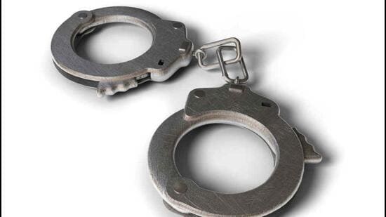 Dhanaula station house officer Lakhvir Singh said the girl was playing football with other children when the accused lured her to a secluded part of the playground and sexually assaulted her. He reportedly fled after noticing some walkers approaching them.