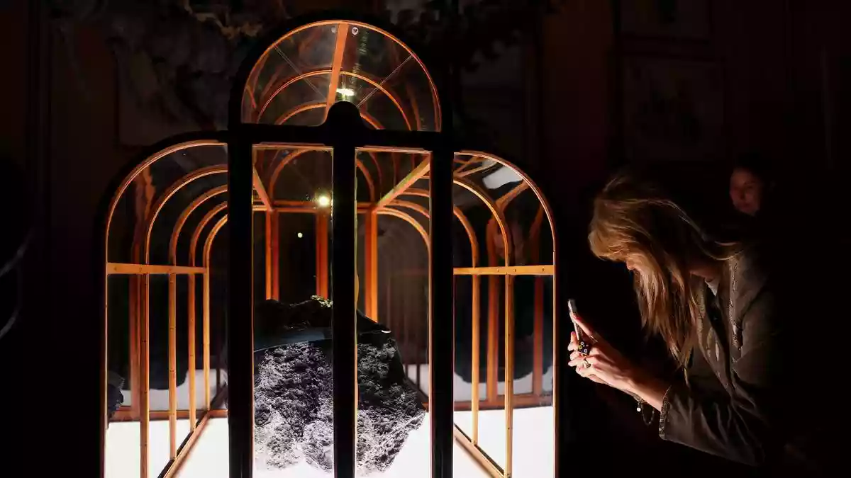 Scientists and designers unveiled on Thursday (April 2, 2026) a ‌handbag made with collagen derived from Tyrannosaurus rex fossils from ​the U.S