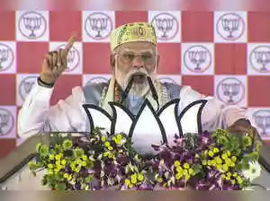 A group of international diplomats descended upon Bihar, keen to witness Prime Minister Narendra Modi's rally in Arrah. Their agenda included engaging with