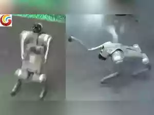 Congress leader Rahul Gandhi has called the AI Summit a disorganized PR spectacle. He alleged that Chinese products were displayed at the event