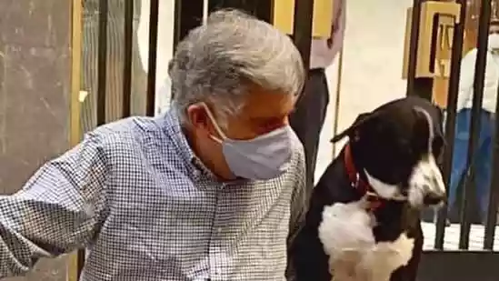 Dogs, cats, birds, turtles and even goats were spotted in the churches of Mumbai on October 4 for the annual Blessing of the Animals tradition, held in honour of St Francis of Assisi, the patron saint of animals. At the Church of Our Lady of Health in Kalbadevi, dozens of pet parents brought their beloved pets to be blessed by Father Joseph D'Souza, the parish priest.Dogs, cats, birds, turtles and even goats were spotted in the churches of Mumbai on October 4 for the annual Blessing of the Animals tradition, held in honour of St Francis of Assisi, the patron saint of animals. At the Church of Our Lady of Health in Kalbadevi, dozens of pet parents brought their beloved pets to be blessed by Father Joseph D'Souza, the parish priest.Among the dogs at the church was Goa, the pet dog of late industrialist Ratan Tata. Goa was brought to Our Lady of Health church in Kalbadevi by Vanessa Dsouza, a resident of Fort, The Free Press Journal reported.A post shared by Petsfamilia | Pet Community (@petsfamilia_community)