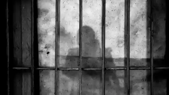 <h4>Dogs used in rape of Palestinians in Israeli prisons, ‘followed officers' commands’: Disturbing report surfaces</h4><h4>Some of the