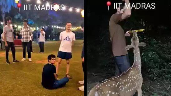 An IIT Madras student has captured what campus life at the prestigious institute looks like. Aryan Kala shared an Instagram video showing how students study