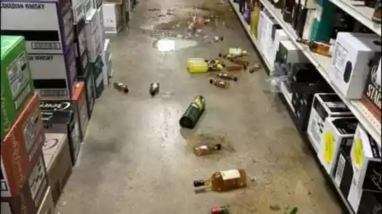 Drunk raccoon causes chaos in Virginia liquor store