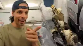 A Dutch traveller was left astonished after spotting an entire row of falcons calmly seated onboard a commercial aircraft. Taking to Instagram
