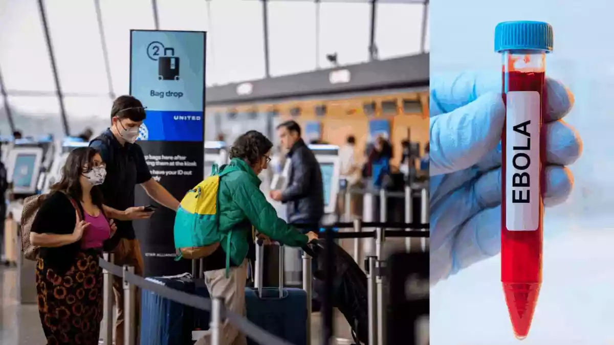 Recent reports of Ebola outbreaks in Central Africa have once again drawn global attention to this group of haemorrhagic fever viruses. However