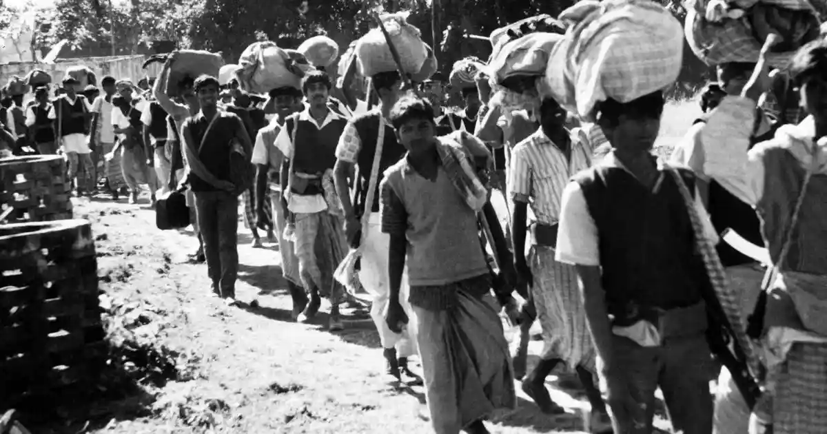Growing up in the 1980s in Bangladesh, I had heard many stories of the 1971 war. I knew about the Bengalis working, for example, in the civil service of