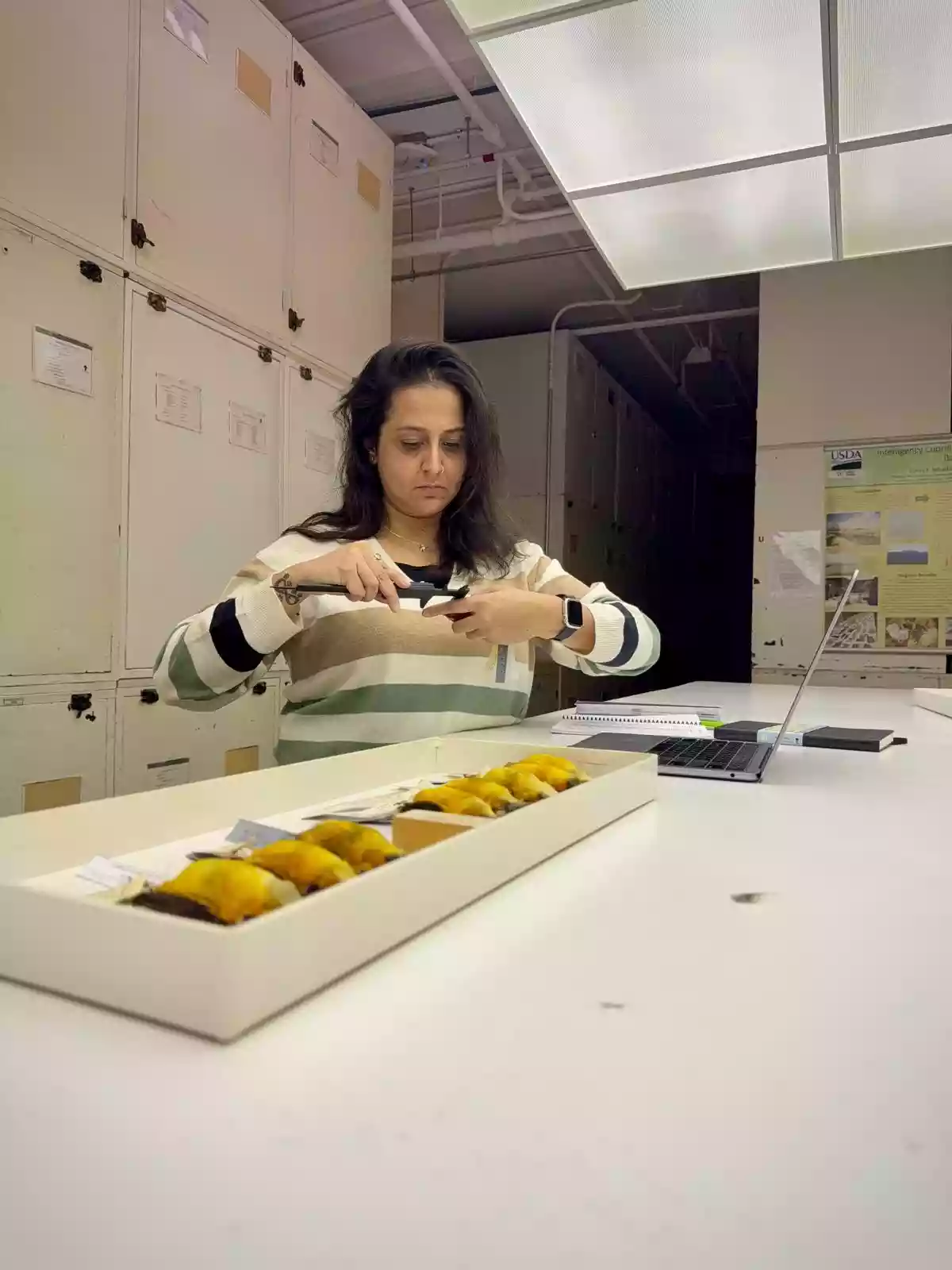 It started with a few feathers of an Indian silverbill that Esha Munshi had saved from one of her cats during the pandemic, back in 2020. Esha