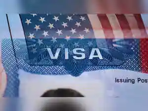 EU, France, Germany slam US visa bans as 