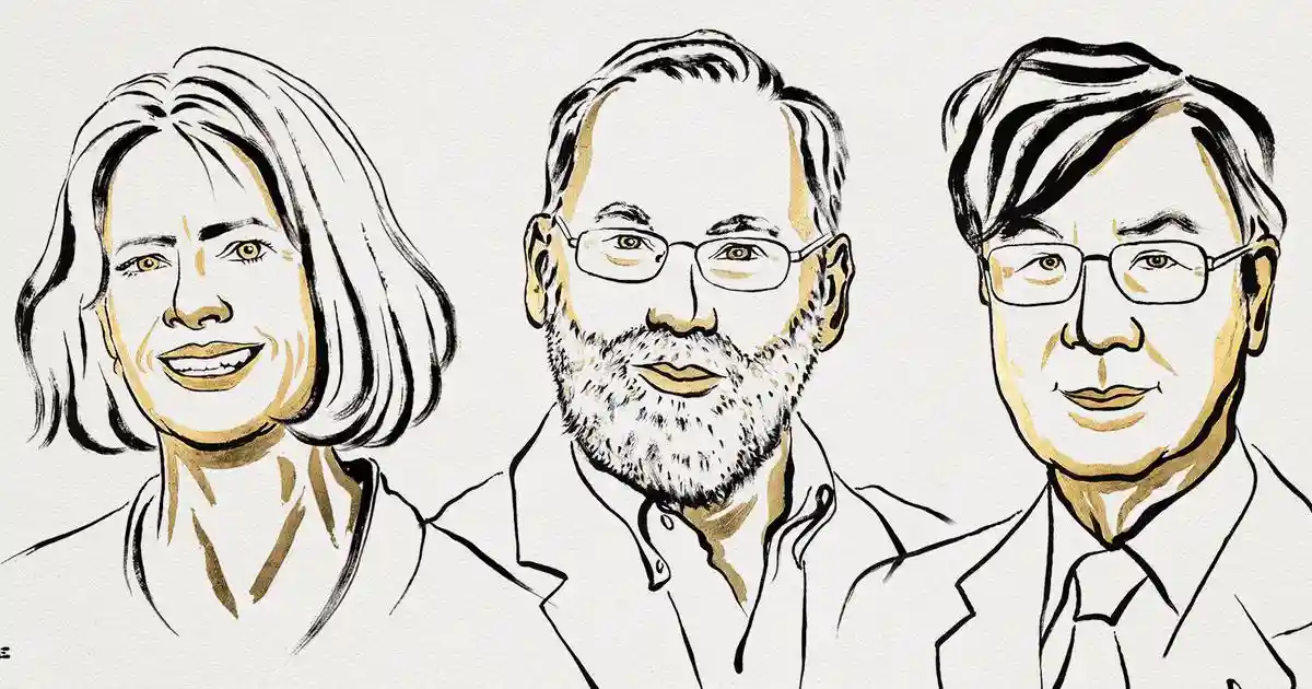 Every day, your immune system performs a delicate balancing act, defending you from thousands of pathogens that cause disease while sparing your body's own healthy cells. This careful equilibrium is so seamless that most people don't think about it until something goes wrong.Every day, your immune system performs a delicate balancing act, defending you from thousands of pathogens that cause disease while sparing your body's own healthy cells. This careful equilibrium is so seamless that most people don't think about it until something goes wrong.Autoimmune diseases such as Type 1 diabetes, lupus and rheumatoid arthritis are stark reminders of what happens when the immune system mistakes your own cells as threats it needs to attack. But how does your immune system distinguish between “self” and “nonself”?The 2025 Nobel Prize in physiology or medicine honors three scientists – Shimon Sakaguchi, Mary Brunkow and Fred Ramsdell – whose groundbreaking discoveries revealed how your immune system maintains this delicate balance. Their work on two key components of immune tolerance – regulatory T cells and the FOXP3 gene – transformed how researchers like me understand the immune system, opening new doors for treating autoimmune diseases and cancer.