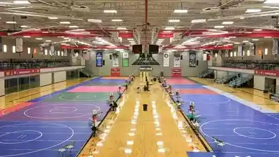 Fake wrestlers seek Hungary visas using forged WFI letter