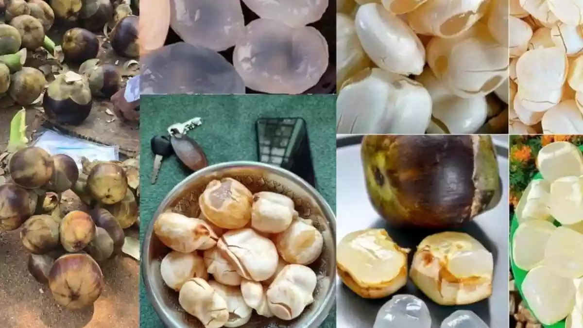 Feeling Drained In Summer