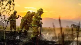 Firefighters in the Australian state of Victoria are battling at least six major fires as a record-breaking heatwave hits the country's south-east