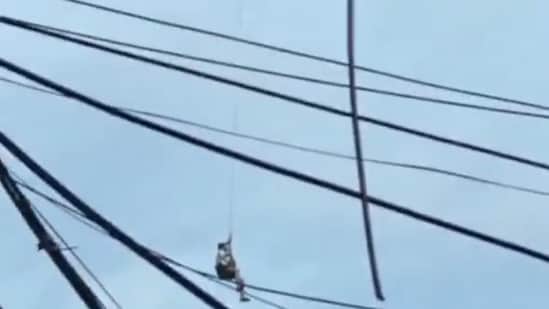 Footage captured by a witness showed the drone soaring 65 feet into the air, with the man hanging underneath, his legs dangling through the harness. A young man in southern China’s Guangxi region was rescued from the rooftop of his house using a jerry-rigged drone, as rising floodwaters threatened the area.